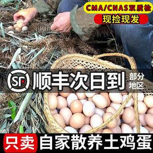 土鸡蛋农家竹林散养笨鸡蛋农村现捡柴鸡蛋60枚绿壳蛋月子鸡蛋整箱