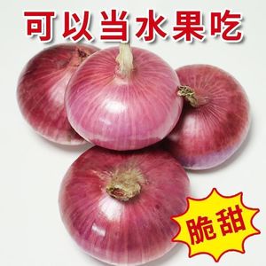 云南紫皮小洋葱10斤圆葱新鲜蔬菜农家自种甜味可以生吃紫红洋葱9