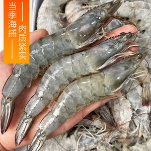 【海浪畅畅】3040海捕大虾大号鲜冻海虾冷冻海虾到手3.3斤左右