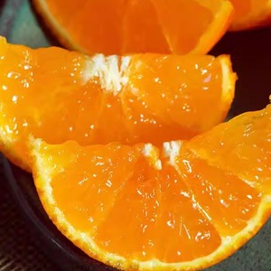 正宗浙江宁波象山红美人柑橘5斤爱媛28号果冻橙橘子水果新鲜礼盒