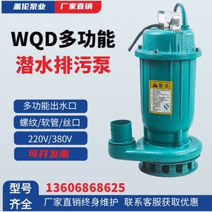 WQD污水污物潜水电泵排污水泵铸铁不锈钢家用排污泵单相三相水泵