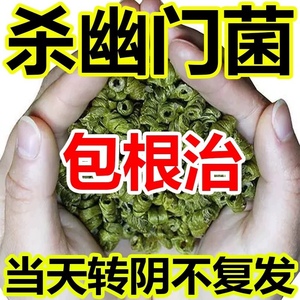 【百年传承】丁香茶幽门螺旋杆菌益生菌幽门螺旋杆菌猴头菇沙棘茶