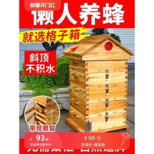 养蜂专用诱峰桶蜂大哥蜂具格子蜂箱中蜂蜜蜂箱烘干杉木别墅箱子