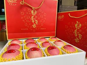 甘肃泾川原生态新鲜水果礼盒装红色｜富士苹果现货直发