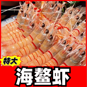 海鳌虾刺身鲜活新鲜特大国产冷冻非新西兰鳌虾日料海鲜牡丹虾甜虾