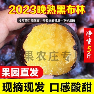 2024新鲜黑布林李子黑布朗酸甜孕妇水果比三华李应季现摘5斤