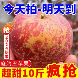 大凉山丑苹果10斤冰糖心苹果新鲜水果当季整箱盐源包邮四川红富士