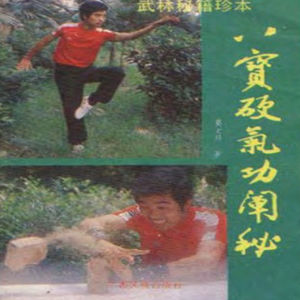 八宝硬气功阐秘 莫文丹著 广西民族出版社 , 198