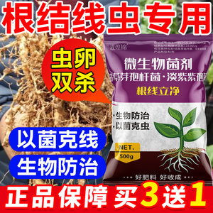 根结线虫专用药根线清淡紫紫孢菌拟青霉杀根结线虫克星蔬菜特效