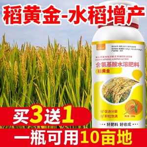 水稻专用肥料增产增收叶面肥抗倒促进分蘖孕穗灌浆穗大粒饱稻黄金