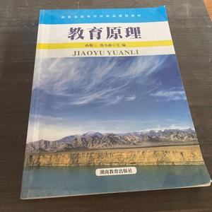 正版二手教育原理孙俊三、雷小波湖南教育出版社9787535552006