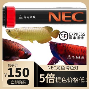日本NEC鱼缸灯龙鱼专用潜水神灯管原装防水三基色6700k金红龙增色