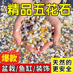 天然彩石鱼缸专用铺底砂多肉盆栽铺面石子五彩石头雨花石原石底砂