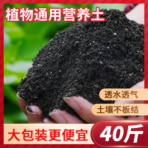 营养土养花土通用种菜专用黑土壤种植泥土多肉家用盆栽有机泥炭土