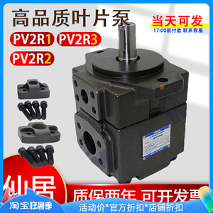 高压叶片泵PV2R1液压油泵永灵pv2r2定量液压泵总成配件pv2r3泵头