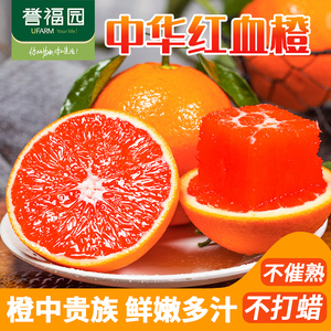 【橙中之皇】秭归中华红血橙红心红肉橙子应季新鲜水果整箱