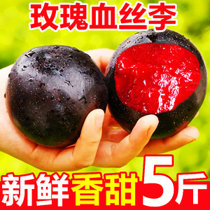 正宗玫瑰血丝李子5斤新鲜水果大果当季黑布林孕妇红肉李恐龙蛋