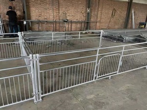 定制猪圈围栏育肥猪围栏育肥围栏保育栏母猪限位栏定位栏养猪设备