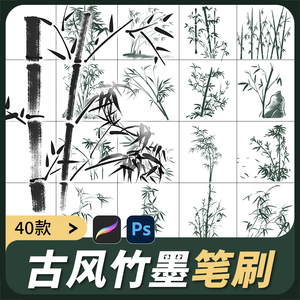 水墨竹子素材procreate笔刷ps笔刷中国风墨竹国画古风植物山水画