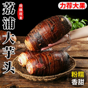 广西荔浦新鲜大芋头9斤农家特产紫藤毛芋头香芋槟榔芋蔬菜包邮10