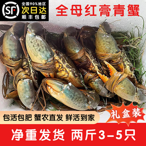 三门特大螃蟹野生青蟹母蟹膏蟹鲜活水产海鲜黄油蟹红膏鲟2斤3-5只