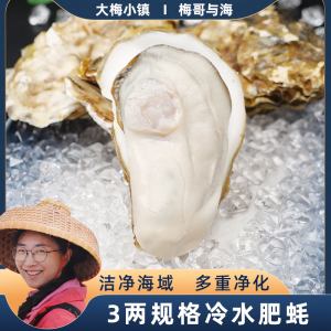 连云港鲜活冷水肥蚝生蚝海蛎子牡蛎净重5斤-7斤特大贝壳烧烤商用