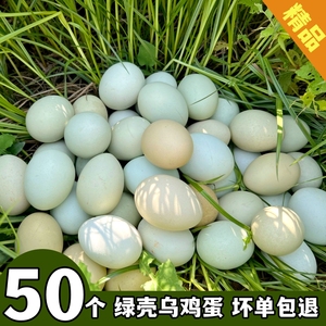 50枚乌鸡蛋农家散养正宗新鲜绿壳土鸡蛋青皮柴鸡蛋农村放养笨鸡蛋
