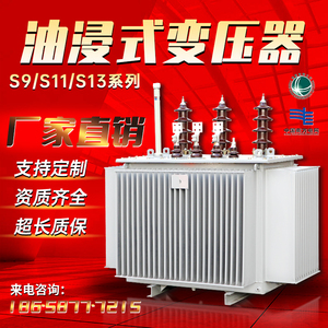 S13 S11-250/630kva油浸式变压器铜铝高压三相电力变压器10-35kv