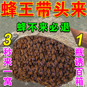 【蜂王带头来】诱蜂膏蜂蜡诱蜂野外用中土蜂胡蜂引诱神器招蜂水