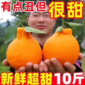 四川不知火丑橘10斤新鲜水果应当季时令整箱包邮桔子耙耙丑柑橘子