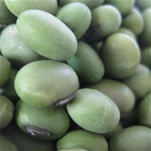 农家大青豆种子 青皮青芯青心高产春秋双青豆非转基因晚熟毛豆籽