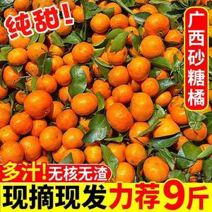 正宗广西砂糖橘新鲜9斤沙塘桔小橘子当季水果整箱蜜橘桔子柑橘10