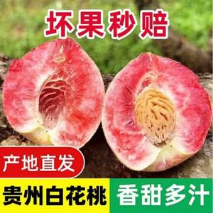 贵州特产新鲜百花桃5斤水果雪桃子血桃脱骨桃毛桃水蜜鲜果包邮WW