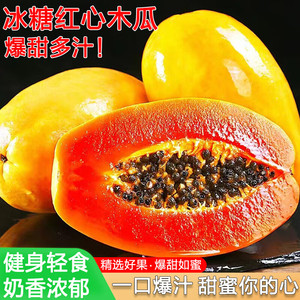 海南红心木瓜10斤新鲜大果红肉木瓜时令当季牛奶木瓜冰糖心奶木瓜