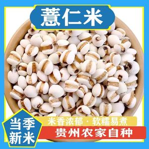 薏仁米薏米仁新货贵州大薏仁米可搭配赤豆红豆五谷杂粮粗粮油包邮