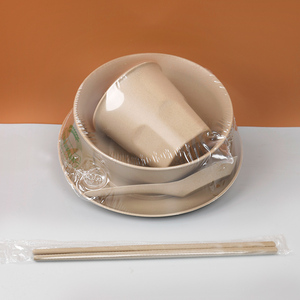 稻壳一次性餐具四件套碗筷家用食品级过年火锅碟杯勺三件套饭店用