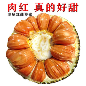 正宗进口印尼红肉菠萝蜜稀有红色果肉干包一整个木菠萝生鲜水果12