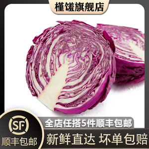 【槿馐】紫甘蓝650g 紫包菜紫色球生菜红紫椰菜新鲜沙拉食材