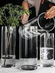 醒花桶透明大号法式家用深水圆筒非亚克力塑料养插花瓶鲜花花店用