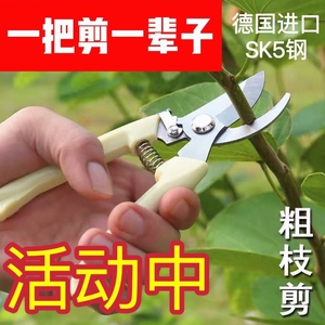 德国进口钢粗枝剪省力修枝剪刀园艺修花木果树嫁接园林剪工具