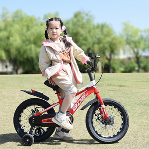 BDF三代儿童自行车3-4-5-6岁男女宝款脚踏车铝合金车架单车双碟刹