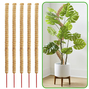 植物造型爬藤植物固定架绿萝柱椰棕棒棕榈棒棕柱水苔龟背竹支撑杆