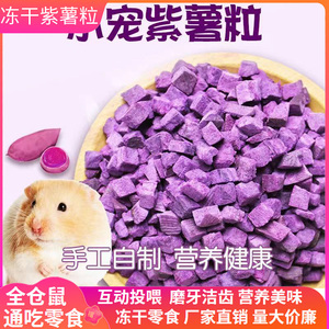 冻干紫薯粒仓鼠零食无添加脱水紫薯金丝熊花枝鼠豚鼠营养果蔬冻干