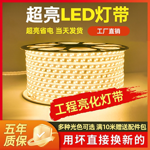 led灯带户外防水灯条220v室外照明工地养殖白暖黄光客厅装饰光带