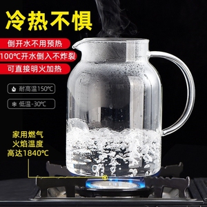 德国进口冷水壶玻璃凉水壶瓶大容量泡茶茶壶家用耐高温晾开水杯子