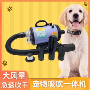 给狗狗洗澡用的吹风机宠物吹毛烘干机猫狗洗澡家用吹水机神器大风