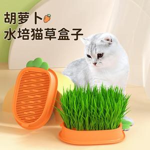 天然猫草盒无土水培盆新款懒人盆栽小麦种子猫薄荷猫咪零食猫草盆