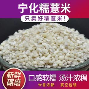 宁化糯薏米脱壳中药材薏米仁新货500g无霉小薏米粥薏米茶五谷杂粮