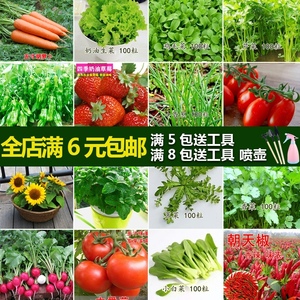 24种蔬菜种子四季易种樱桃萝卜薄荷圣女果香菜小香葱青椒大白菜