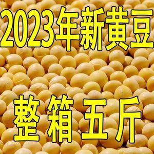 2023黄豆东北新货打豆浆专用大豆发豆芽五谷杂粮非转基因新鲜粗粮